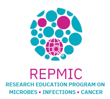 REPMIC-Logo