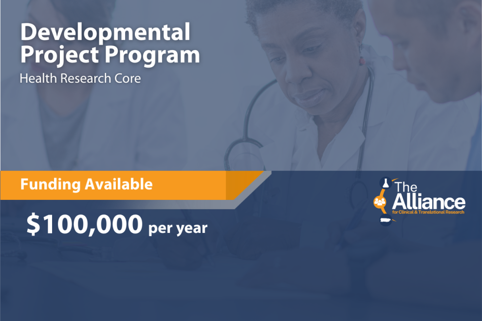 Developmental Project Program cover