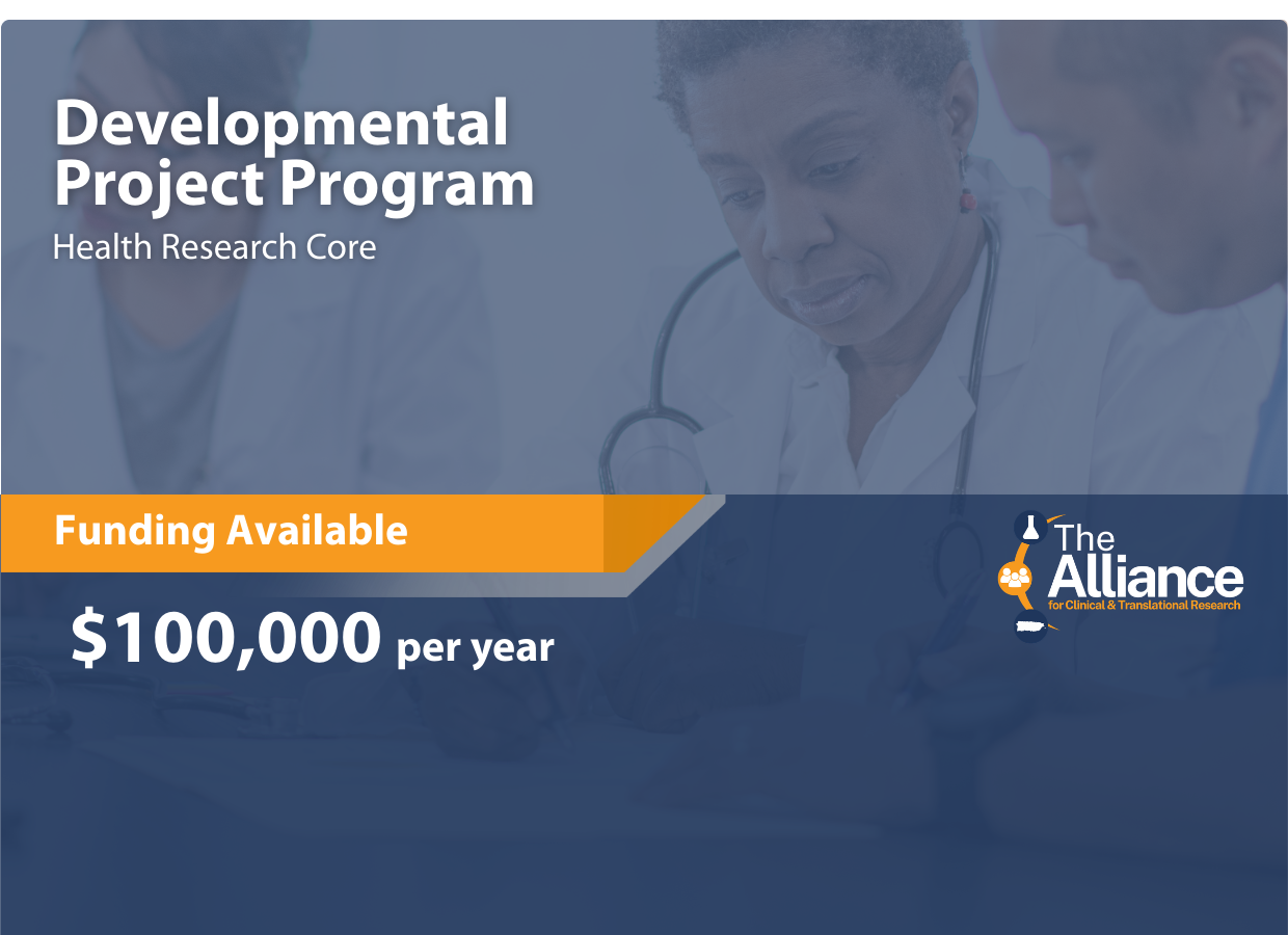 Developmental Project Program cover
