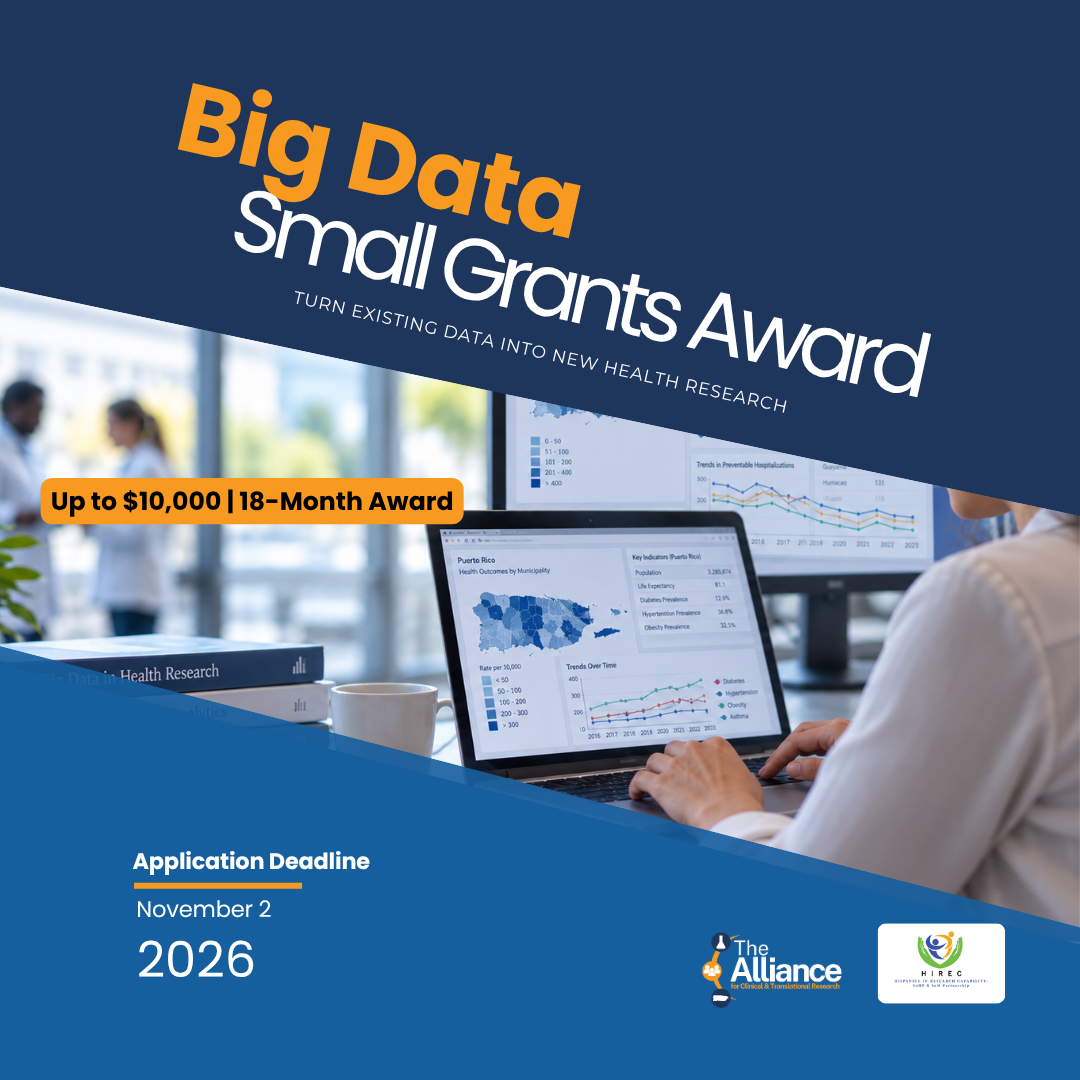 Big Data Small grant 2026